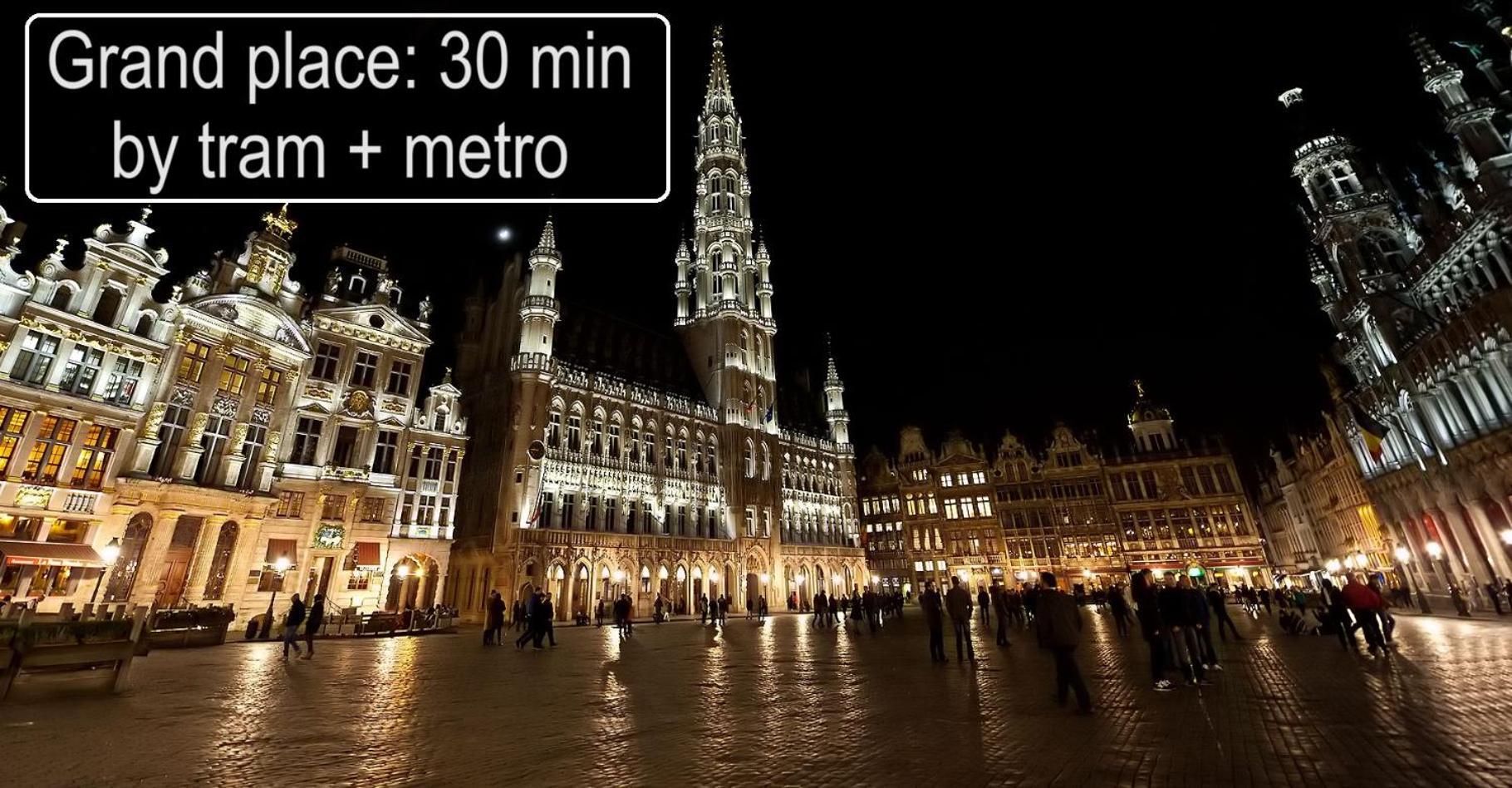 Furnished - Bright, Modern Apartment In Brussels, 15 Minutes Walk From The Atomium Екстер'єр фото